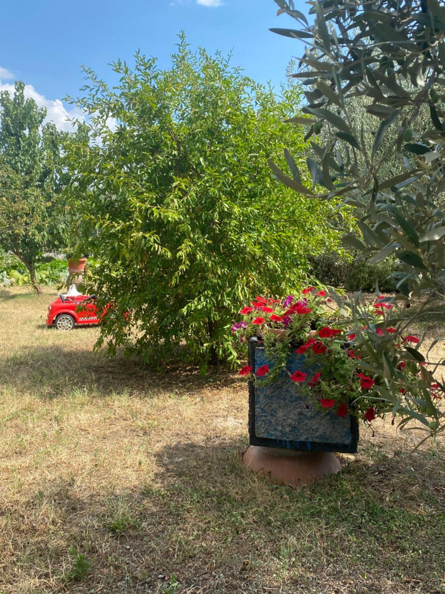 Coke * Passignano sul Trasimeno
