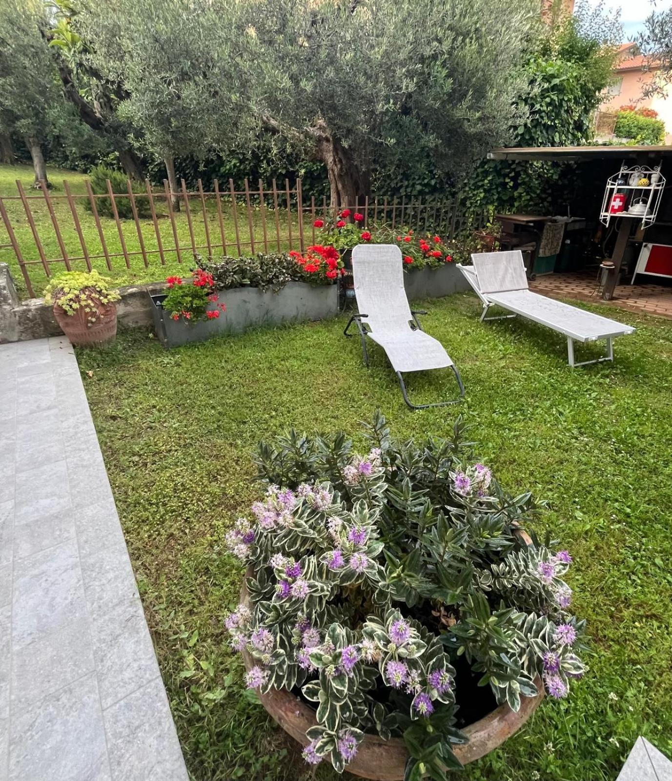 Apartment Coke Passignano sul Trasimeno